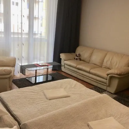 Central Apartment